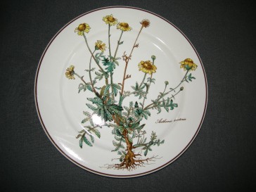 Villeroy & Boch Botanica dinerbord O24 cm.