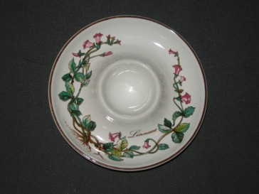 Villeroy & Boch Botanica eierschaaltje bruin logo