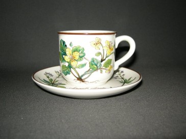 Villeroy & Boch Botanica espressokop & schotel 