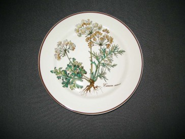 Villeroy & Boch Botanica gebaksbordje O17 cm.