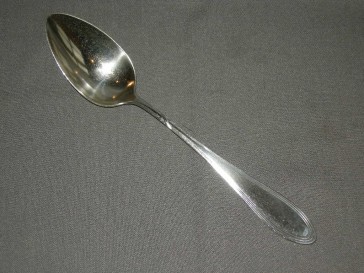 Wellner verzilverd groentelepel