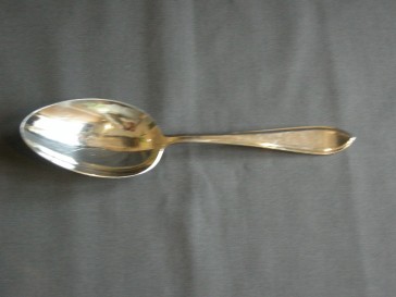 Sola GZ model 430 puntfilet groentelepel