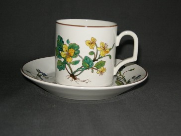 Villeroy & Boch Botanica koffiekop & schotel D.E.