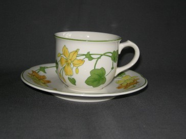 Villeroy & Boch Geranium kop & schotel