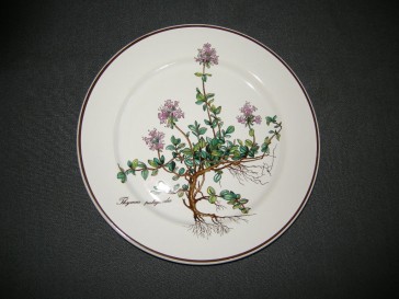 Villeroy & Boch Botanica ontbijtbord O21 cm.