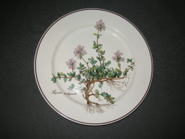 Villeroy & Boch Botanica ontbijtbord bruin logo