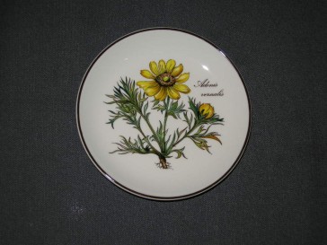 Villeroy & Boch Botanica petit fourbordje O12 cm. Adonis Vernalis