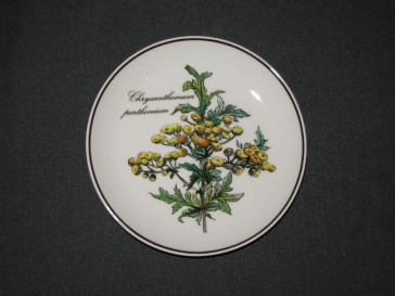 Villeroy & Boch Botanica petit fourbordje O12 cm. Chrysanthemum parthenium