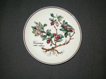 Villeroy & Boch Botanica petit fourbordje O12 cm. Vaccinium vitas - idaea