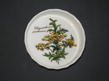 Villeroy & Boch Botanica Vilbofour quicheschaaltje O11,5 cm., hoogte 2,5 cm. Chrysanthemum parthenium