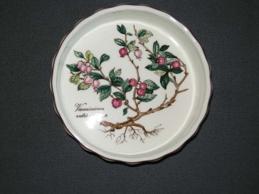 Villeroy & Boch Botanica Vilbofour quicheschaaltje O11,5 cm., hoogte 2,5 cm. Vaccinium vitis - idaea 