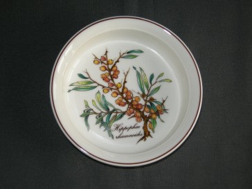 Villeroy & Boch Botanica Vilbofour quicheschaaltje O13 cm., hoogte 3 cm. Hippophae rhamnoides