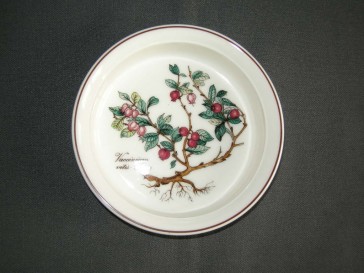 Villeroy & Boch Botanica Vilbofour quicheschaaltje O13 cm., hoogte 3 cm. Vaccinium vitis - idaea