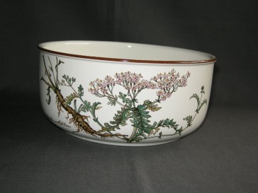 Villeroy & Boch Botanica saladeschaal O19,5 cm.