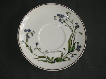 Villeroy & Boch Botanica schotel O14,5 cm.