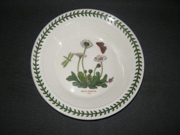 Portmeirion Botanic Garden soepbord Bellis Perennis met lichte gebruikerssporen