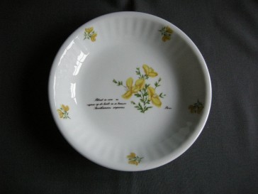 Libelle Wilde Planten soepbord brem