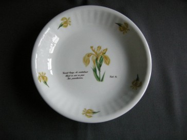 Libelle Wilde Planten soepbord gele lis