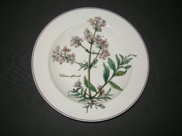 Villeroy & Boch Botanica soepbord zwart logo