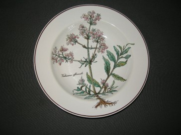 Villeroy & Boch Botanica soepbord bruin logo
