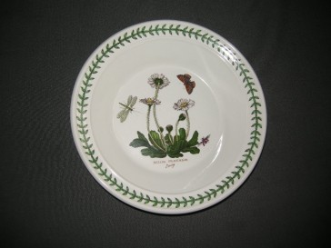 Portmeirion Botanic Garden soepbord Bellis Perennis