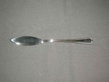 Sola edelstaal model Regina vismessen 21,5 cm.