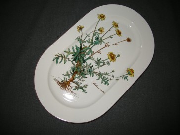 Villeroy & Boch Botanica vleesschaal 33,5 x 20 cm. 
