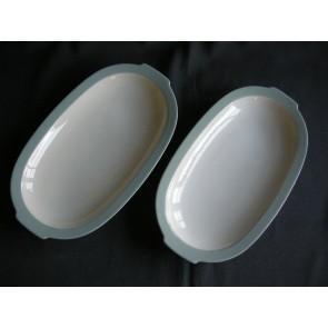 Petrus Regout pastel celadon 005. vleesschaaltjes