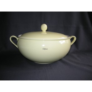 Petrus Regout pastel geel 020. Petrus Regout Désiree soepterrine