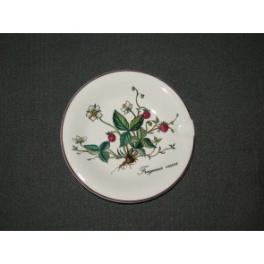 Villeroy & Boch Botanica asbak