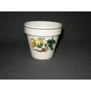 Villeroy & Boch Botanica bloempotje / cactuspotje