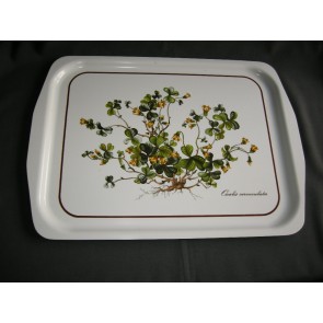 Villeroy & Boch Botanica dienblad