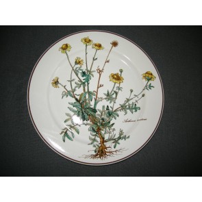 Villeroy & Boch Botanica dinerbord O24 cm.