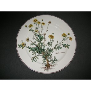 Villeroy & Boch Botanica dinerbord O26,5 cm. zonder wortel in afbeelding