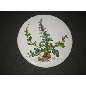 Villeroy & Boch Botanica fornuiskap emaille