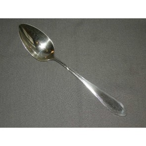 Wellner verzilverd groentelepel