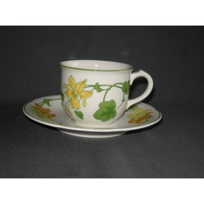 Villeroy & Boch Geranium kop & schotel