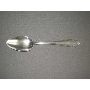 Wello klassiek randje lepels 21 cm.