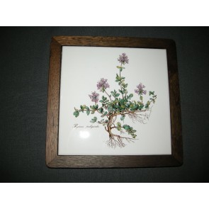 Villeroy & Boch Botanica onderzetter in hout