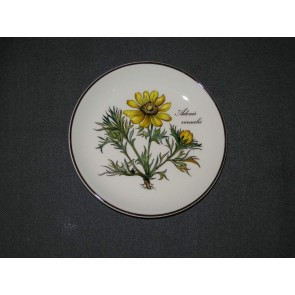 Villeroy & Boch Botanica petit fourbordje O12 cm. Adonis Vernalis
