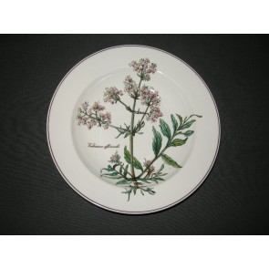 Villeroy & Boch Botanica soepbord zwart logo