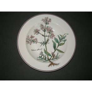 Villeroy & Boch Botanica soepbord bruin logo