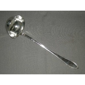 Wellner verzilverd soeplepel