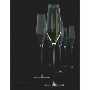 SALT & PEPPER Cuvee set van 6 champagneflutes inh 21  cl