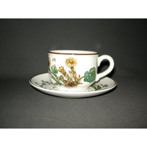 Villeroy & Boch Botanica theekop & schotel