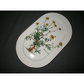 Villeroy & Boch Botanica vleesschaal 33,5 x 20 cm. 